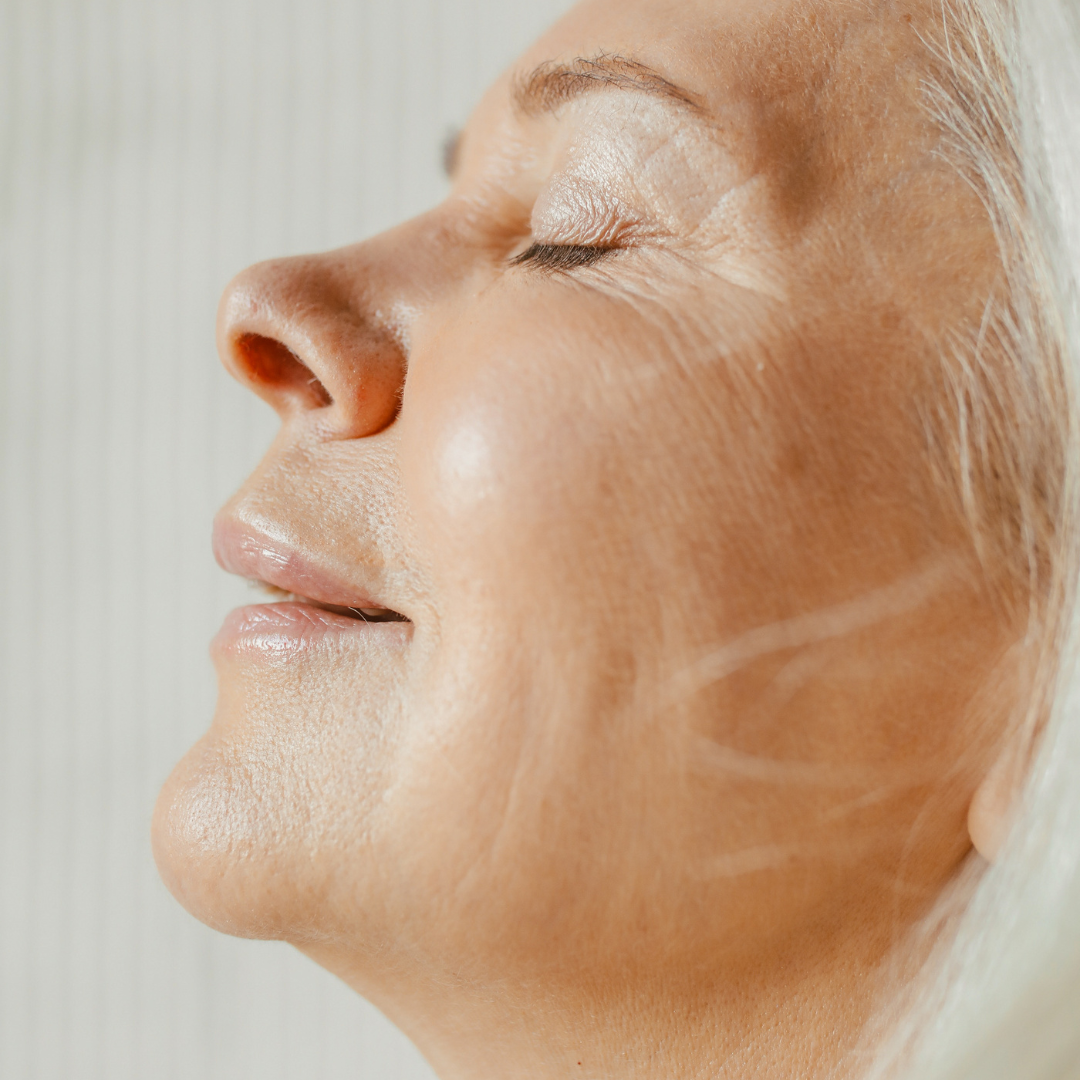 Menopause Diet Starter Bundle